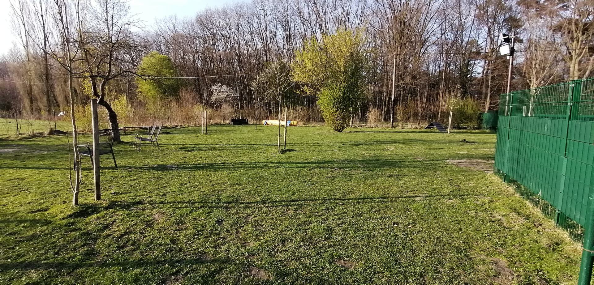Bild von der Wiese