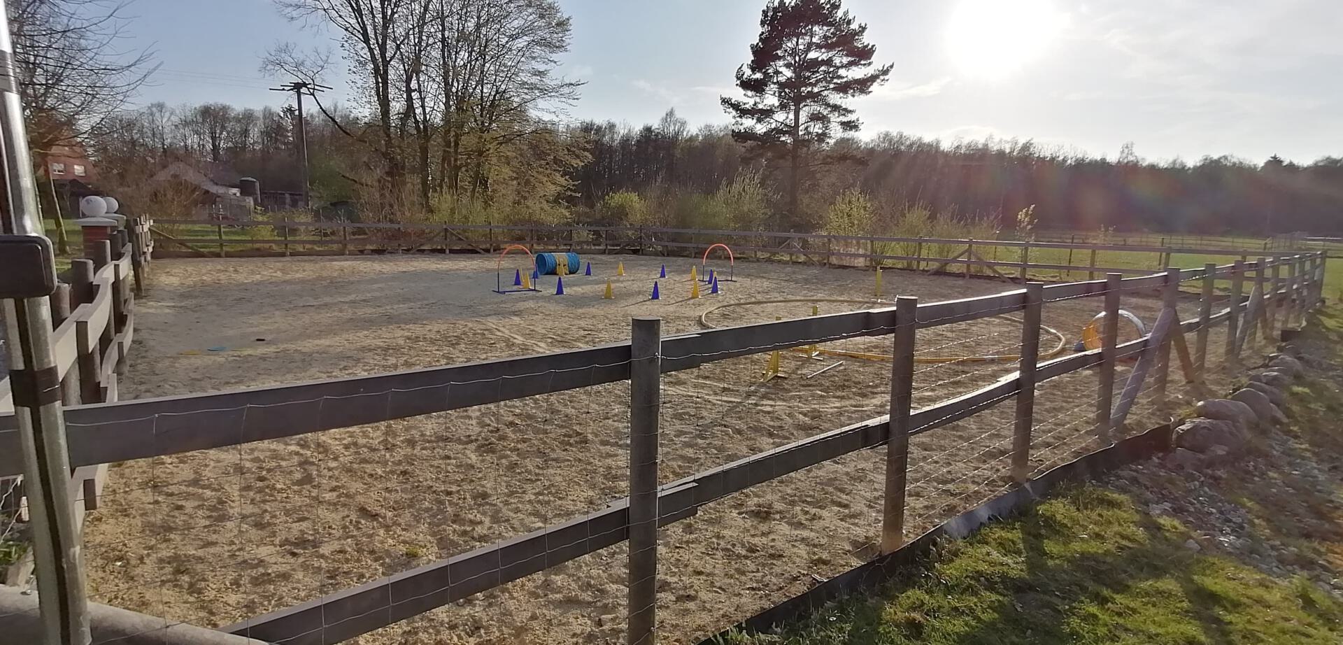 Bild vom Sandplatz