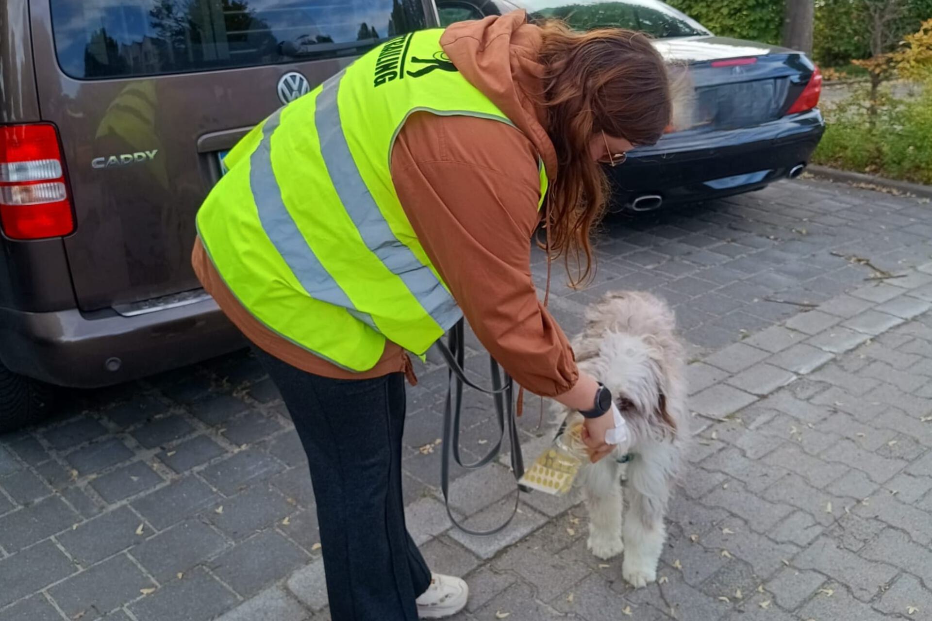 Frau beim Mantrailing mit Hund