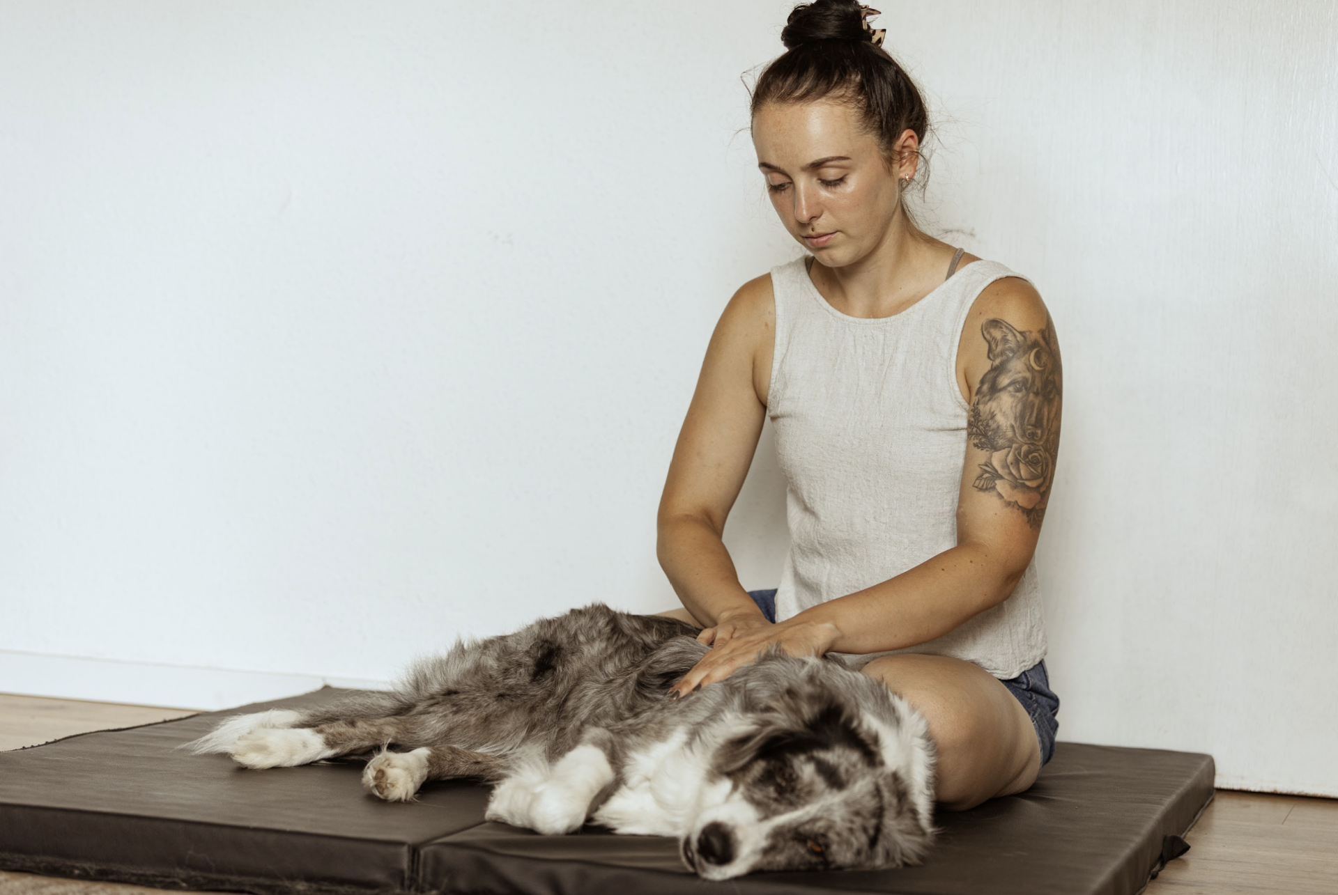 hundezentrum_physiotherapie