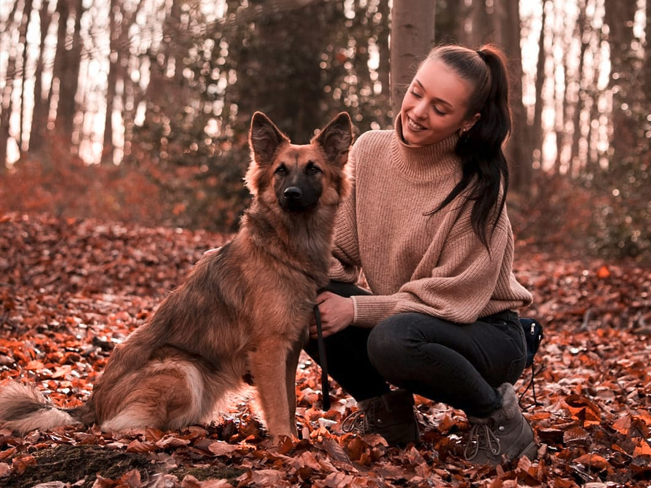 hundeschule_startseite_kontaktformular