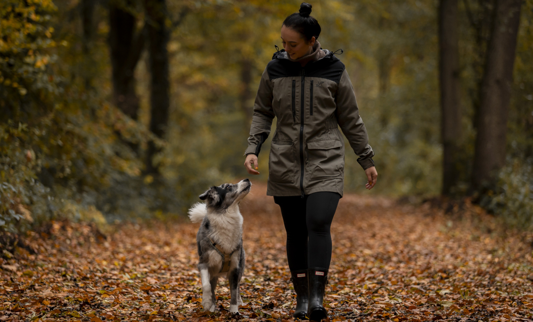 pop_up_bild_hund-und-hirn