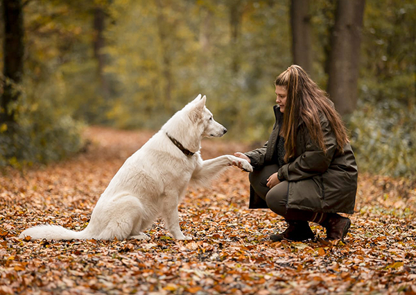 Co-Trainerin Nina bei der Hundeschule Team Spirit