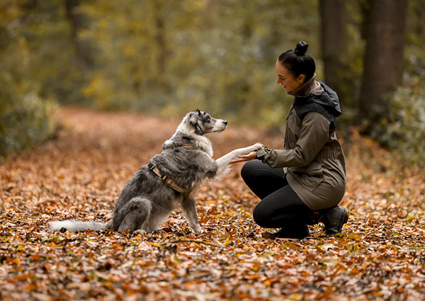 Hundetrainerin Sara Maggiorelli von Team Spirit mit ihren Hunden.